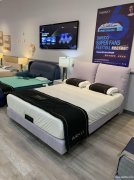 新品上市 限量体验 买床享5折购床垫 新品上市 限量体验 买床享5折购床垫